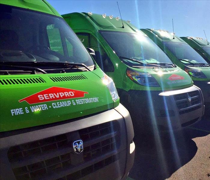 SERVPRO vehicles lined up