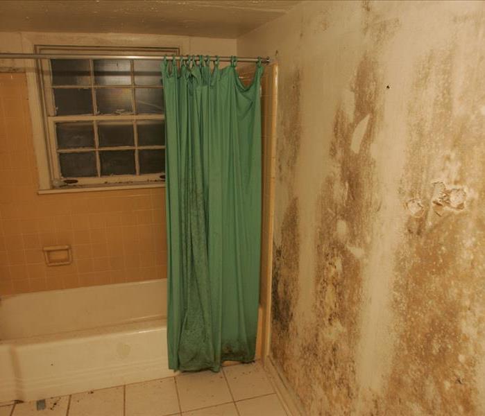 Bathroom with visible mold damage on walls